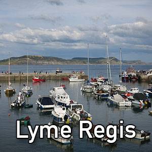 Beach Visit: Lyme Regis logo